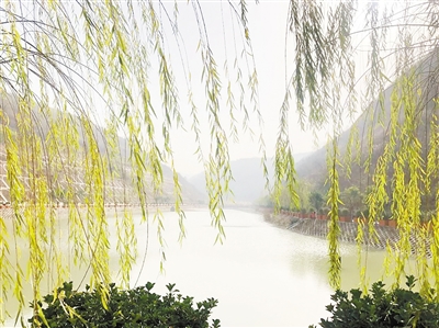 中国情形报：守护三秦大地绿水青山——壹定发集团建设以来，，，，，，，，成为陕西污染防治的排头兵