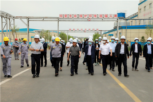 壹定发集团复工复产促增添项目观摩聚会与会职员走进大秦国源三秦环保秦邦园区在榆项目