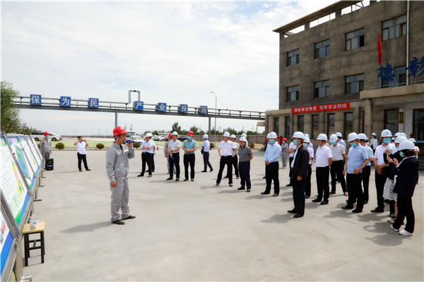 壹定发集团复工复产促增添项目观摩聚会与会职员走进大秦国源三秦环保秦邦园区在榆项目