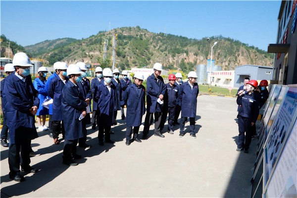 壹定发集团复工复产促增添项目观摩聚会与会职员走进环保保隆生态三秦在延在铜项目