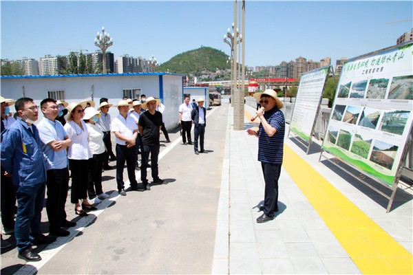 壹定发集团复工复产促增添项目观摩聚会与会职员走进环保保隆生态三秦在延在铜项目