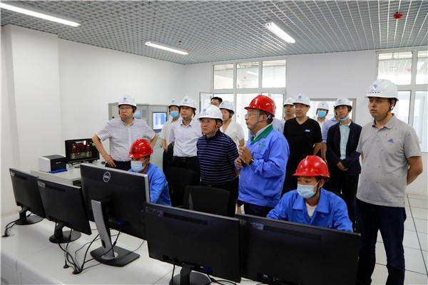 壹定发集团复工复产促增添项目观摩聚会与会职员走进环保保隆生态三秦在延在铜项目