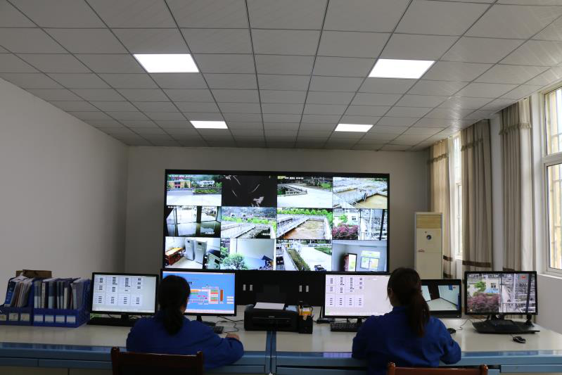 这个端午节，，，，，，水情形人这么过（二）