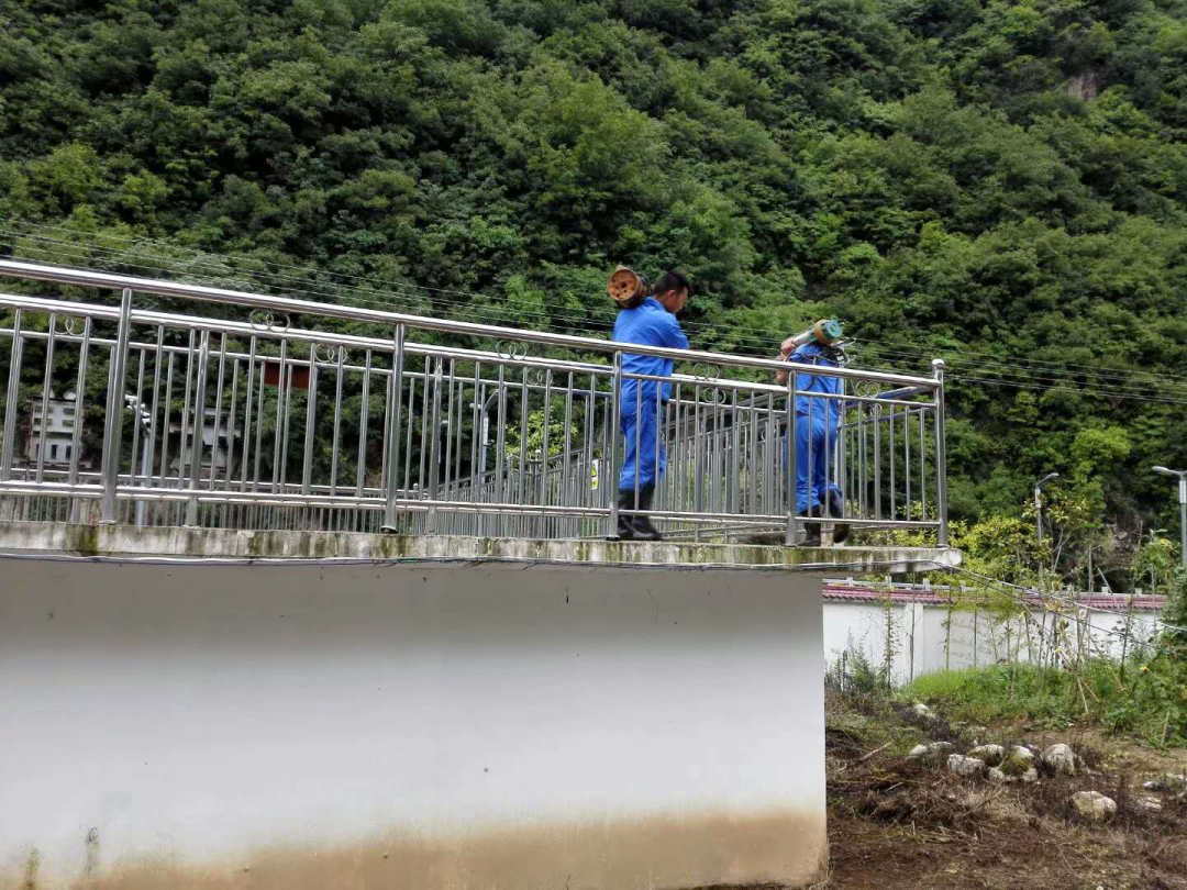 这个端午节，，，，，，水情形人这么过（二）