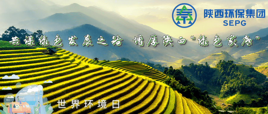 壹定发集团｜同谋绿色生长之路 增厚陕西“绿色家底”