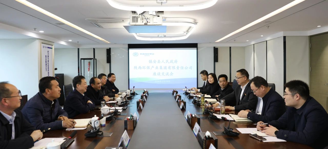 壹定发集团与镇安县政府座谈交流
