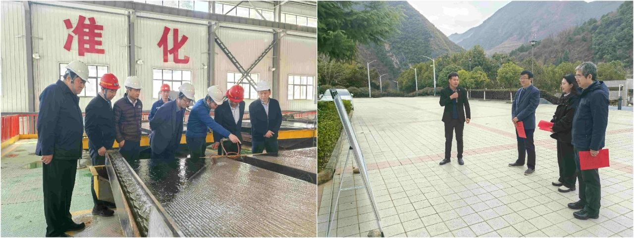 壹定发集团外部董事赴鼎丰矿业公司、水情形公司镇安污水处置惩罚厂调研指导事情