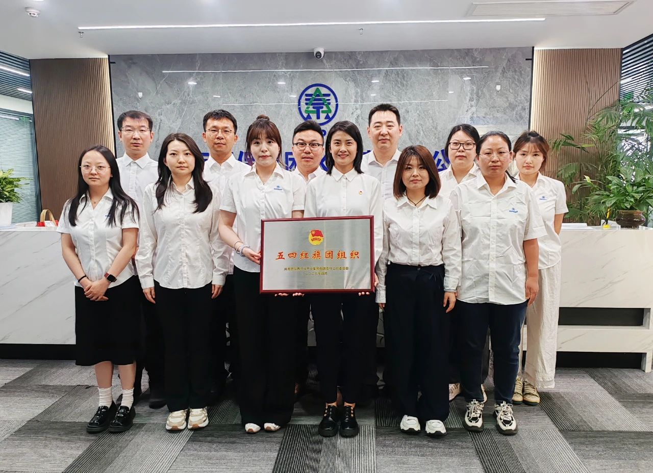 壹定发集团“五四红旗团组织”｜水情形公司：青春奋进正其时 不负春光争朝夕